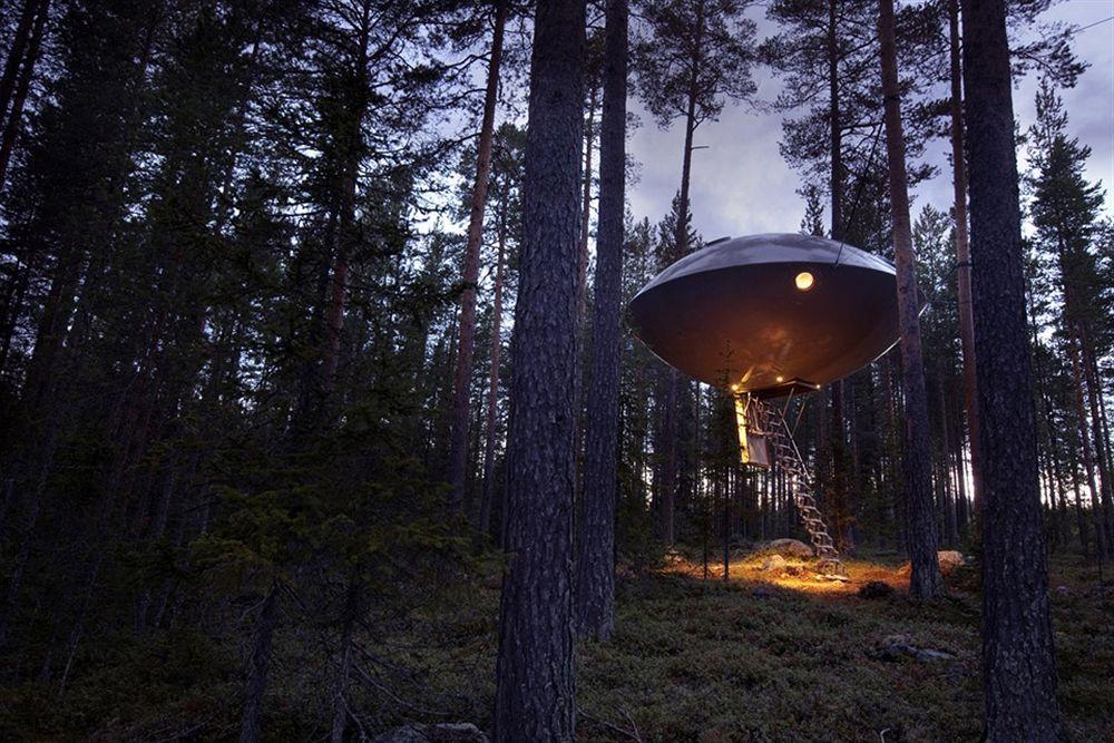 Treehotel Jaktstuga
