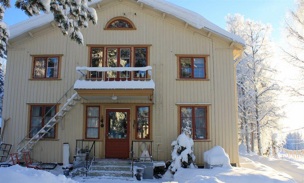 Treehotel 4*
