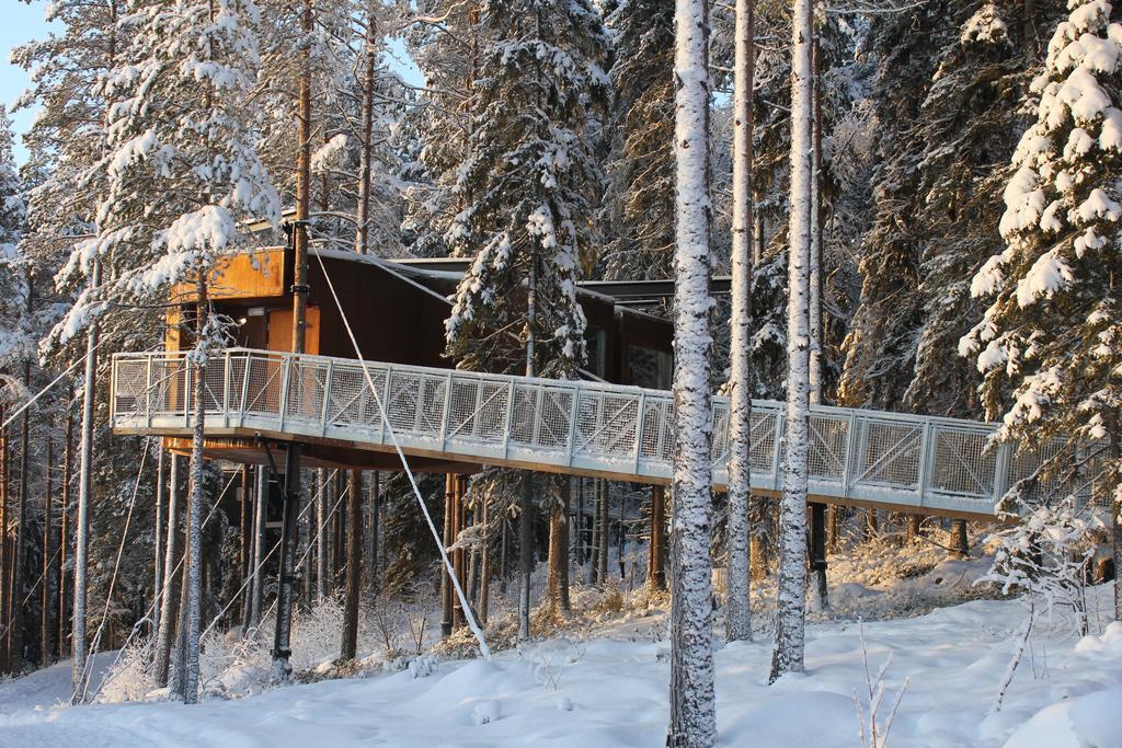 Treehotel Jaktstuga