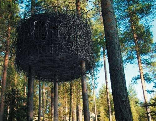 Treehotel 4* Harads
